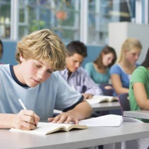 Grapevine Driving school